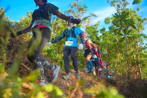 BIB: 2090
                            <button type="button" onclick="openModal(21841536)" class="btn btn-primary btn-sm float-right btn-popup" data-toggle="modal" data-target=".modal-high-quality">
                        <i class="fas fa-shopping-cart"></i> Add to Cart
                    </button>
                                            <button type="button" onclick="isThisMe(21841536, true)" class="btn btn-success btn-sm float-right btn-popup btn-isme hidden" data-toggle="tooltip" data-placement="bottom" title="นี่คือรูปของคุณใช่ไหม คลิกที่นี่เพื่อเอาเข้าอัลบั้ม">
                        <i class="fas fa-plus"></i> Add to album
                    </button>
                    <button type="button" onclick="isThisMe(21841536, false)" class="btn btn-warning btn-sm float-right btn-popup btn-isnotme hidden">
                        <i class="fas fa-ban"></i> Remove from album
                    </button>